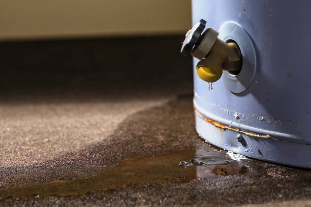  Excelsior Springs, MO Water damage restoration Pros