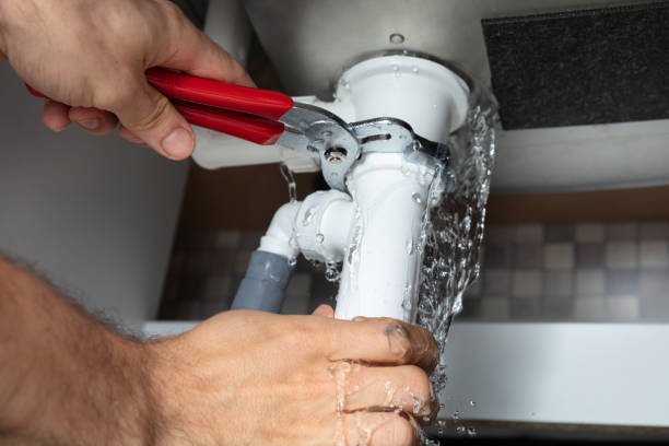 Best Professional water damage repair  in Excelsior Springs, MO