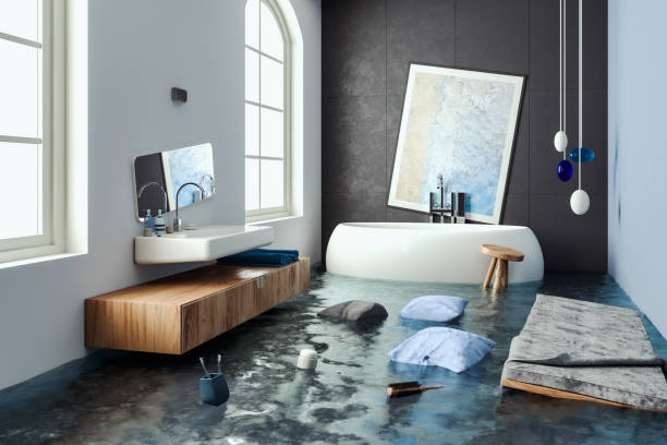 Best Basement water damage restoration  in Excelsior Springs, MO
