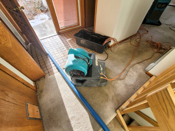 Best Water damage restoration near me  in Excelsior Springs, MO