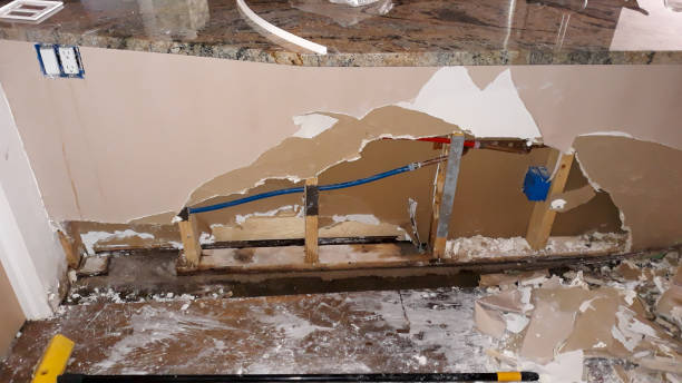 Best Water damage cleanup near me  in Excelsior Springs, MO