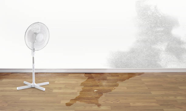 Fire Damage Restoration in MO