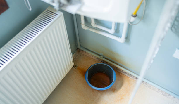 Best Mold removal after water damage  in Excelsior Springs, MO